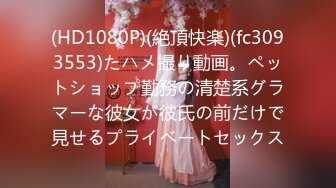 推特新晋❥❥❥新一年洗脑顶B王六金小姐姐 2024高端定制裸舞长视频 顶摇第 (7)