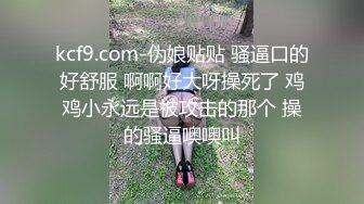 国产麻豆AV MD MD0034 私家护士 温琬琳