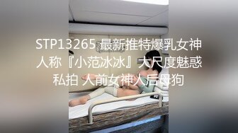 STP13265 最新推特爆乳女神人称『小范冰冰』大尺度魅惑私拍 人前女神人后母狗