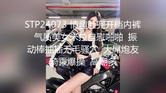 天美传媒 tmtc-009 趁老婆回娘家体验女仆服务-仙儿媛