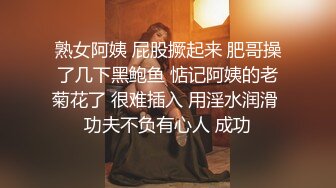 双飞轮流操逼