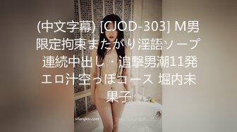 ID5361 爱豆传媒 寂寞主妇离异后的孪生情缘 乔安 VIP0600