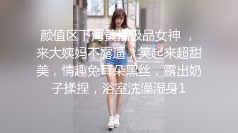 乌托邦WTB-094女仆的秘密课程