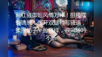 云上会所酒吧正面拍摄系列 5