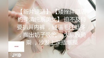 战斗女仆艾多 - 我TM天桥露出射爆，强悍丰满女妖，有没有贱狗想来吃掉~