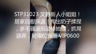 STP31023 文静新人小姐姐！居家自慰操逼！掏出奶子揉捏，多毛骚逼振动棒抽插，抓屌舔弄，骑乘位操逼 VIP0600