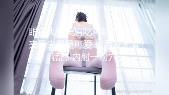 女友打桩机