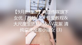 【9月新档二】麻豆传媒旗下女优「苏畅」OF性爱教程&大尺度生活私拍&AV花絮 清纯白虎反差小淫女 (3)