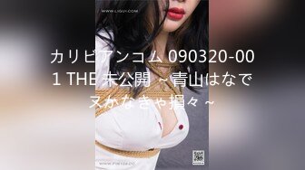 カリビアンコム 090320-001 THE 未公開 ～青山はなでヌかなきゃ損々～