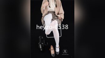 heyzo-0538