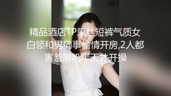 疯狂3P爆操骚浪丝袜淫妻,完美露脸(VIP)