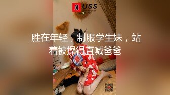 肛塞双马尾迫不及待肉棒塞入小穴