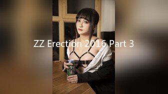 ZZ Erection 2016 Part 3