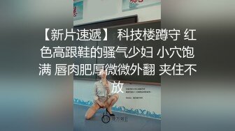 【AI换脸视频】杨幂  你的黑丝女友