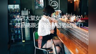 酒店大堂女厕全景偷拍__多位极品高跟少妇各种姿势嘘嘘 (5)