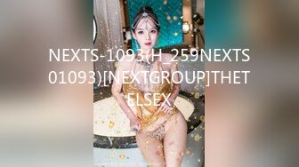 NEXTS-1093(H_259NEXTS01093)[NEXTGROUP]THETELSEX