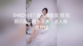 SHKD-587 潜入捜査官 翔 犯罪の海に堕ちる美しき人魚 西野翔