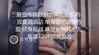 麻豆传媒最新女神乱爱系列-寂寞调酒站 单身酒吧调情性爱 纹身乱战 麻豆女神韩宝儿 高清720P原版首发