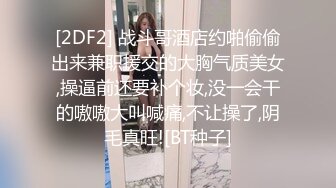 [2DF2] 战斗哥酒店约啪偷偷出来兼职援交的大胸气质美女,操逼前还要补个妆,没一会干的嗷嗷大叫喊痛,不让操了,阴毛真旺![BT种子]