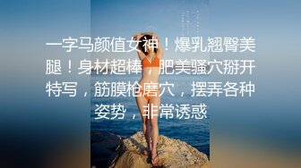 国产麻豆AV MD MD0080 圣诞企划 狼人插 谁插人 浪漫女神唯美性爱篇 沈娜娜 钟以彤