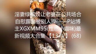 淫妻绿帽奴让老婆在公共场合自慰露出被别人操——P站博主XGXMM95(性感小猫咪)最新视频大合集 【137V】 (68)