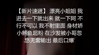 STP33147 小哥哥艾里第三视角 无码无删减