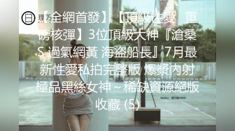 【AI画质增强】91猫先生~2K增强~迈凯轮车模杂集~感受异域风采，狂艹不止！